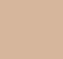 Однотонные коричневые обои (фон) Loymina Materials Lotus LOT1, 501
