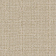 Однотонные коричневые обои (фон) Alessandro Allori Bruni 1005-4 RBN