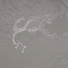 Коричневые обои для стен Bernardo Bartalucci Gaga  84282-20