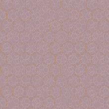 Loymina Liberty LIB1 221