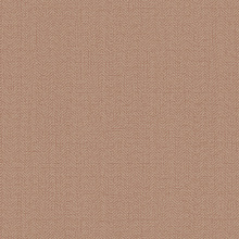 Однотонные коричневые обои (фон) Alessandro Allori Bruni 1002-15 RBN