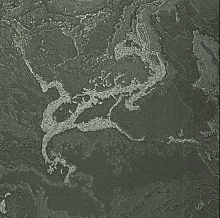 Зелёные обои в спальню Bernardo Bartalucci Gaga  84282-29