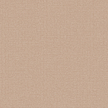 Однотонные коричневые обои (фон) Alessandro Allori Bruni 1005-7 RBN