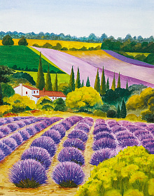 Жёлтые фотообои Marburg Gloockler Pompoos Provence 35642