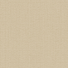 Однотонные коричневые обои (фон) Alessandro Allori Bruni 1002-5 RBN