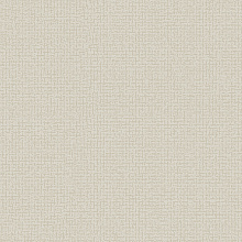 Однотонные серые обои (фон) Alessandro Allori Bruni 1005-10 RBN