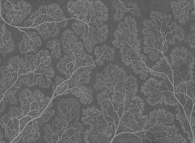 Фотообои CROWNS 8, FLORA, Factura Фотообои CROWNS 8, FLORA, Factura