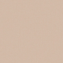 Однотонные коричневые обои (фон) Alessandro Allori Bruni 1004-9 RBN