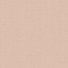 Однотонные коричневые обои (фон) Alessandro Allori Bruni 1002-14 RBN